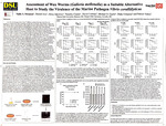 Assessment of Wax Worms (Galleria mellonella) as a Suitable Alternative Host to Study the Virulence of the Marine Pathogen Vibrio coralliilyticus