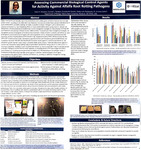 Assessing Commercial Biological Control Agents for Activity Against Alfalfa Root Rotting Pathogens by Travis R. Rebstock, Conner L. Tordsen, Brandon Daniels, Oleksandra Rachynska, and Andrew E. Sathoff