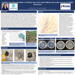 Isolation and Characterization of Pythium spp. from South Dakota soils under commerical alfalfa production by Jennifer M. Giles and Andrew E. Sathoff