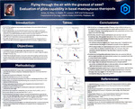 Flying through the air with the greatest of ease? Evaluation of glide capability in basal maniraptoran theropods